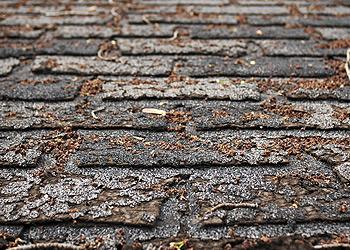 Roofing By Simon Images